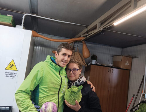 A volte i sogni sono daltonici: Marco e Francesca, amore “ortofrutticolo”